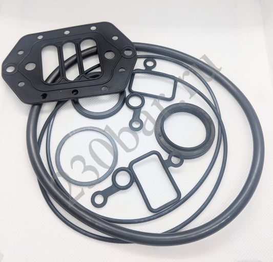 KIT,SEALS,   MOTOR 6.0